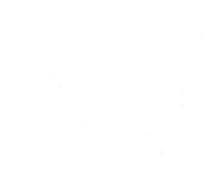 Logo Akkordeonorchester